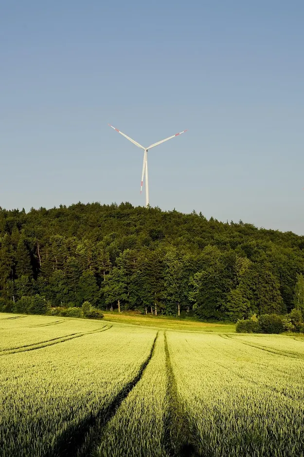 6 formas de recargar energía todos los días
