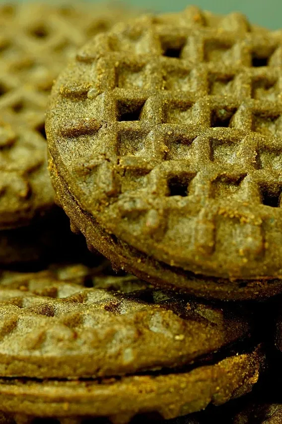 Galletas de Hot Cocoa