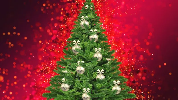 Tradiciones de Navidad en mi país