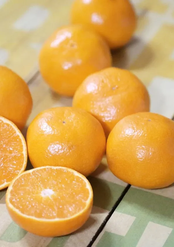 No bake tangerine cheesecake