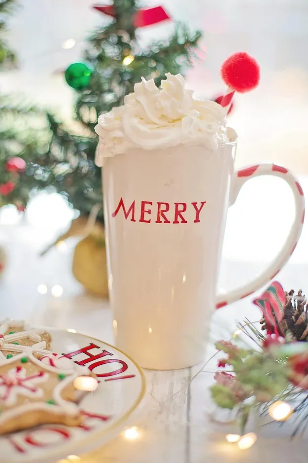 Hot cocoa cookies