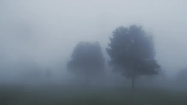The process of grief