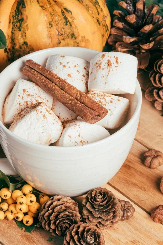 Pumpkin spice recipe