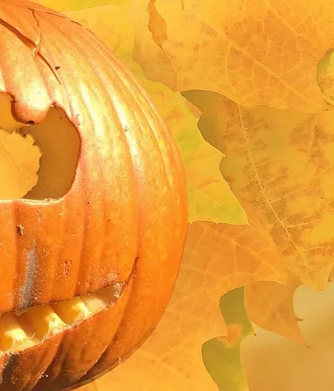 Pumpkin cookies with oatmeal and chocolate chips
